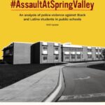#AssaultAtSpringValley: 2023 Analysis of Police Violence