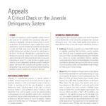 Appeals: A Critical Check on the Juvenile Delinquency System
