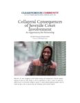 Collateral Consequences of Juvenile Court Involvement: An Opportunity for Partnership