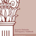 Juvenile Defender Delinquency Notebook: Advocacy and Training Guide (2nd Edition)