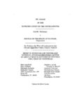 G.A.W. v. Illinois Amicus Brief