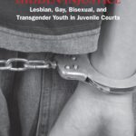 Hidden Injustice: Lesbian, Gay, Bisexual, and Transgender Youth in Juvenile Courts