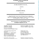 Amicus Brief: In the Interest of D.C.M.