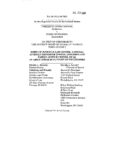 Graham v. Florida Amicus Brief