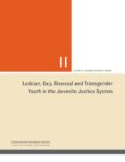 A Guide to Juvenile Detention Reform: Lesbian, Gay, Bisexual and Transgender Youth in the Juvenile Justice System