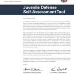 Juvenile Defense Self-Assessment Tool