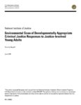 Environmental Scan of Developmentally Appropriate Criminal Justice Responses to Justice-Involved Young Adults