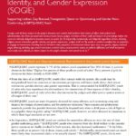 Access to Juvenile Justice Irrespective of Sexual Orientation, Gender Identity, and Gender Expression (SOGIE): Supporting Lesbian, Gay, Bisexual, Transgender, Queer or Questioning, and Gender Non-Conforming (LGBTQ-GNC) Youth