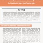 Promoting Positive Development: The Critical Need to Reform Youth Probation Orders