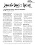 The Legal Defense of Juveniles: Struggling but Pushing Forward