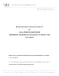 Sample Juvenile Court Affidavit by Legal Ethicist Abbe Smith Addressing the Ethical Challenges of Direct File in Florida