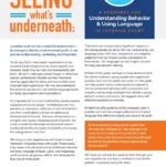 Seeing What's Underneath: A Resource for Understanding Behavior & Using Language in Juvenile Court