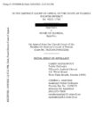 Appellant's Brief-Statutory Maximum Sentence is Unconstitutional Because Racial Characteristics May Have Played a Role (Florida)