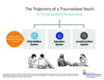 The Trajectory of a Traumatized Youth: A Three System Perspective