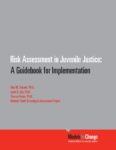 Risk Assessment in Juvenile Justice: A Guidebook for Implementation