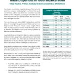 Tribal Disparities in Youth Incarceration