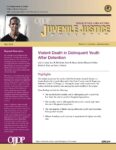 Violent Death in Delinquent Youth after Detention