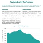 Youth Justice By The Numbers