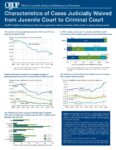  Characteristics of Cases Judicially Waived from Juvenile Court to Criminal Court